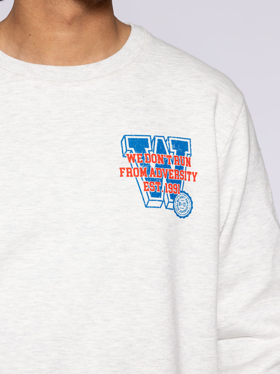 Collegiate 1991 Crewneck Ash Grey